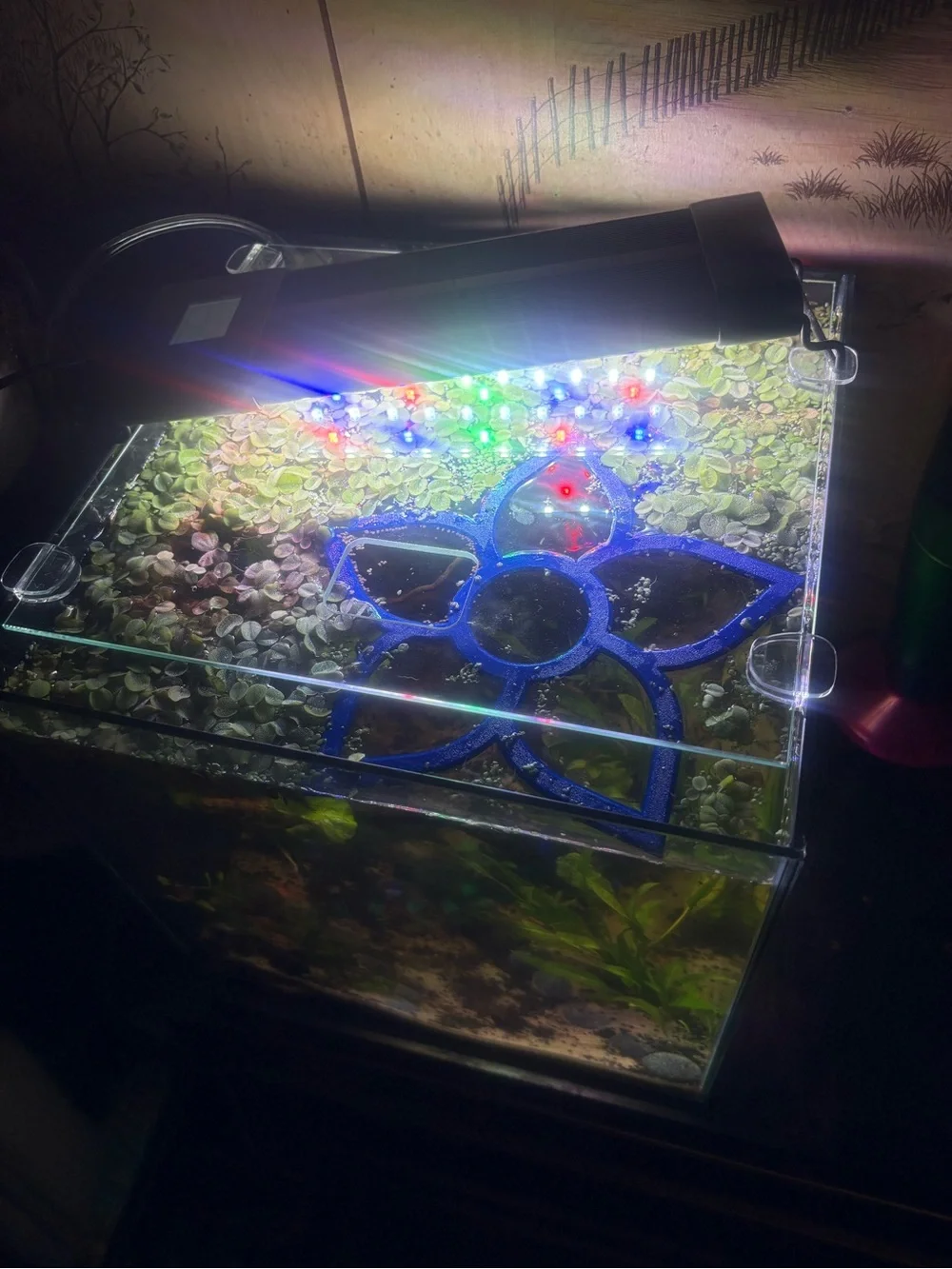 Floating Aquarium Ring - Versatile Fish Tank Decor